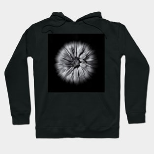 Backyard Flowers In Black And White 10 Flow Version Hoodie